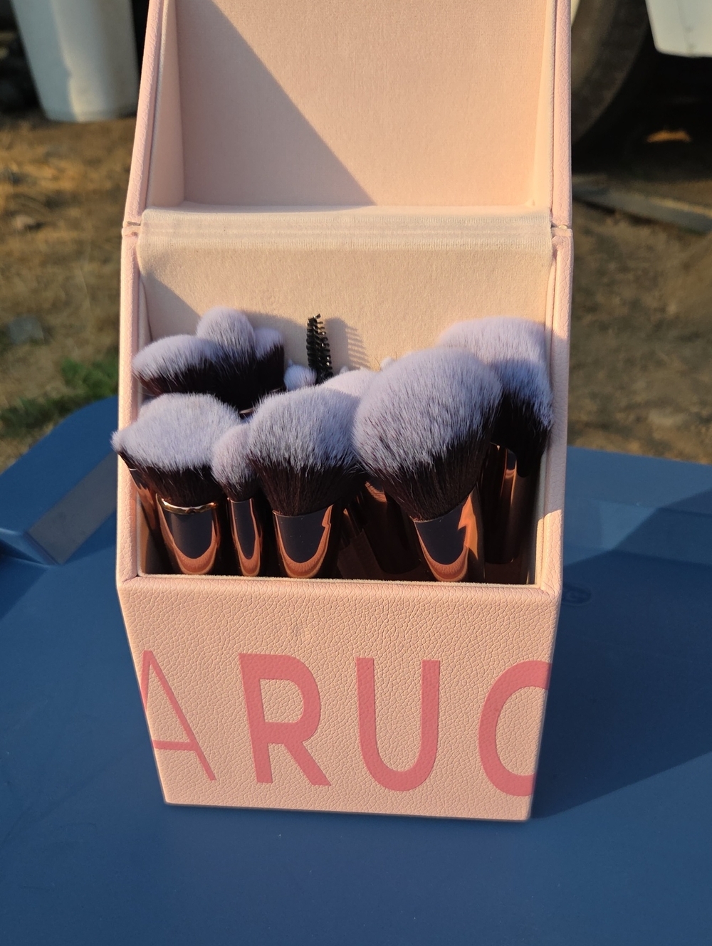 Laruce Beautu 30 Piece Makeup Brush Set - Pink Case